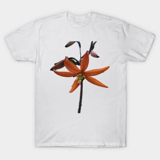 Lily T-Shirt